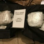 Αστυνομικοί του Τ.Α. Βέροιας συνέλαβαν 31χρονο σε περιοχή της Καστοριάς για εισαγωγή μεγάλης ποσότητας κάνναβης