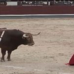 Γαλλία: Φρικτός θάνατος ταυρομάχου – Έχασε την ισορροπία του και δέχθηκε τα χτυπήματα του ταύρου – Βίντεο