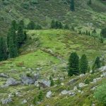 Νάουσα: Οδηγός ΙΧΕ αυτοκινήτου έχασε την ζωή του όταν το όχημά του έπεσε σε χαράδρα στην περιοχή Τρία Πλατάνια