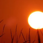 Κλίμα: Το κύμα καύσωνα που πλήττει το Βόρειο Ημισφαίριο μαρτυρά ότι η κλιματική αλλαγή συμβαίνει ήδη