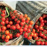 Τα φρέσκα λαχανικά είναι δημοφιλή στην Ευρώπη.