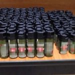 Δύο άτομα από τον Αγιο Μαρίνο συνελήφθησαν με 147 σπρέι παράλυσης