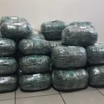 Άρτα: Κατασχέθηκαν 163 κιλά ινδικής κάνναβης στην Ιόνια Οδό. Τρεις συλλήψεις, ενώ αναζητείται και μία 49χρονη