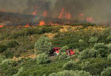 Θεσσαλονίκη: Οι μεγάλες πυρκαγιές των τελευταίων χρόνων στη Χαλκιδική