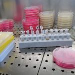 Οι ιοί «σύμμαχοι» των επιστημόνων στη μάχη με τον καρκίνο