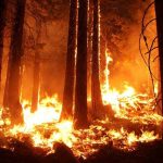 ΗΠΑ: Δεκάδες χιλιάδες άνθρωποι εγκατέλειψαν τα σπίτια τους στην Καλιφόρνια υπό την απειλή τριών μεγάλων πυρκαγιών