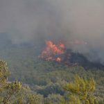 Για πολύ υψηλό κίνδυνο πυρκαγιάς (κατηγορία κινδύνου 4) και για αύριο Κυριακή ενημερώνει η ΓΓ Πολιτικής Προστασίας- Δείτε τον χάρτη