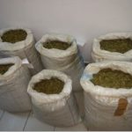 Εξαρθρώθηκε εγκληματική ομάδα διακίνησης κάνναβης σε περιοχές της Κεντρικής Μακεδονίας