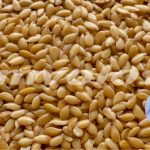 Λιναρόσπορος – Μια υπερτροφή που στηρίζει τον οργανισμό μας! – Τα οφέλη – Ας τον γνωρίσουμε Λιναρόσπορος – Μια υπερτροφή που στηρίζει τον οργανισμό μας!