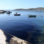 Δείτε τις προσπάθειες καταπολέμησης της Πετρελαιοκηλίδας στη Σαλαμίνα -2 Βίντεο – Δηλώσεις Κουρουμπλή – Θεοδωράκη