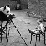 Αλεξάνδρεια: Σύλλογος ‘Αθλητισμός-Φύση-Πολιτισμός’ – Πρόσκληση για δημιουργία φωτογραφικής ομάδας