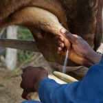 Από το 2018, υποχρεωτική η αναγραφή της χώρας άμελξης του γάλακτος, δήλωσε ο υπουργός Αγροτικής Ανάπτυξης και Τροφίμων Ε. Αποστόλου