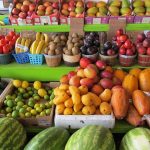 Oι βασικοί άξονες της εθνικής στρατηγικής για τον τομέα της αγροδιατροφής, παρουσιάστηκαν στην ημερίδα «Αγροδιατροφή: παραγωγή και μεταποίηση»