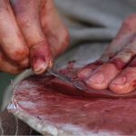 Ρωσία: Ένα ζευγάρι κατηγορείται για κανιβαλισμό