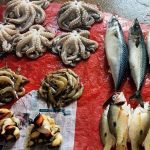 Συνεργασίες της Περιφέρειας Κεντρικής Μακεδονίας για την αναβάθμιση της πώλησης ψαριών και αλιευμάτων στις λαϊκές αγορές