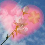 Αλεξάνδρεια – Όπως τον παλιό καλό καιρό… Ένας 23χρονος έκλεψε την 17χρονη αγαπημένη του και γίνανε καπνός…