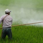 Στη «Διαύγεια» η απόφαση για τις κατ’ εξαίρεση άδειες διάθεσης φυτοπροστατευτικών προϊόντων