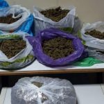 Συνελήφθησαν 3 άτομα από αστυνομικούς του Τμήματος Ασφάλειας Πέλλας για διακίνηση ναρκωτικών Κατασχέθηκαν πάνω από 4 κιλά κάνναβης