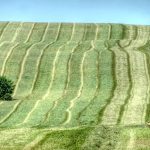 Διευκρινήσεις του Υπουργείου Αγροτικής Ανάπτυξης για το μέτρο της νιτρορύπανσης