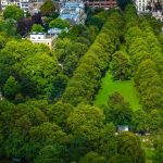 Τα δέντρα στα αστικά πάρκα «απορροφούν» περισσότερο άνθρακα από ό,τι των δεντροστοιχιών, σύμφωνα έρευνα του ΑΠΘ