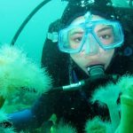 Κίνα: Επιστήμονες φυτεύουν κοράλλια στο βυθό της Θάλασσας της Νότιας Κίνας