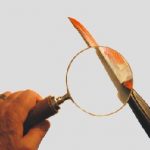 Οικογενειακή τραγωδία στο Μαρκόπουλο . Αμυντικά τραύματα στη σορό της 17χρονης την οποία σκότωσε η ίδια η μητέρα της και μετά αυτοκτόνησε