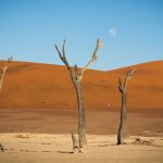 Έρευνα: Η κλιματική αλλαγή θα αυξήσει τις αφίξεις μεταναστών στην ΕΕ – EurActiv