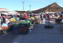 Σωματεία Πωλητών Λαϊκών Αγορών-Επαγγελματιών και Παραγωγών Ν. Ημαθίας: “Ο αγώνας κερδίζεται με πράξεις, όχι με λόγια – Συμμετέχουμε!”