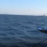 ΕΙΔΗΣΕΙΣ ΣΕ ΒΙΝΤΕΟ: Twitter για Καμμένο: «Από μακριά και ντροπιασμένοι»