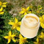 Φτιάξτε μια χρήσιμη αλοιφή με ελαιόλαδο, σπαθόλαδο και ζαμπούκο για καψίματα, εγκαύματα, τσιμπήματα εντόμων, φαγούρα κ.α. Φτιάξτε μια χρήσιμη αλοιφή με ελαιόλαδο, σπαθόλαδο και ζαμπούκο