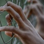 Θεσσαλονίκη: Στο Ιδρυμα Ανηλίκων Βόλου ο 16χρονος που ομολόγησε ότι σκότωσε τον 14χρονο φίλο του στη Γέφυρα, τον Ιούνιο του 2016