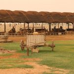 Χωρίς την καταβολή τέλους πλέον η πιστοποίηση των Πολυλειτουργικών Αγροκτημάτων