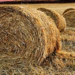 Πρόσκληση υποβολής αιτήσεων για την Εξισωτική Αποζημίωση έτους 2018, συνολικού προϋπολογισμού 230 εκατ. €