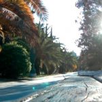 ΕΙΔΗΣΕΙΣ ΣΕ ΒΙΝΤΕΟ: Τρόμος στο Πεδίον του Άρεως: Σεξουαλική επίθεση με μαχαίρι σε γυναίκα οδοντίατρο