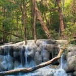 ΕΙΔΗΣΕΙΣ ΣΕ ΒΙΝΤΕΟ: Αυτό είναι το μεγαλύτερο σκεπαστό τροπικό θερμοκήπιο στον κόσμο