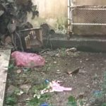 ΕΙΔΗΣΕΙΣ ΣΕ ΒΙΝΤΕΟ: Γέννησε στην μπανιέρα και πέταξε το βρέφος από το μπαλκόνι