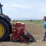 Η πρώτη καλλιέργεια βιομηχανικής κάνναβης στην Αλεξάνδρεια είναι γεγονός…