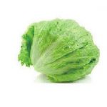 Το βακτήριο Escherichia coli χτυπά της ΗΠΑ. – Της Ειρήνης Αιμονιώτη.