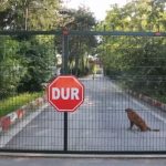 ΕΙΔΗΣΕΙΣ ΣΕ ΒΙΝΤΕΟ: Στον εισαγγελέα ο Τούρκος που συνελήφθη στον Έβρο