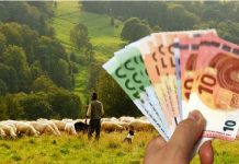 Νέα ενίσχυση 26 εκατ. ευρώ για αποζημιώσεις κτηνοτρόφων λόγω ευλογιάς