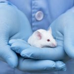 «Κοκτέιλ» φυτοφαρμάκων καταστρέφουν το ήπαρ, και προκαλούν διαβήτη .. – Της Ειρήνης Αιμονιώτη.