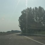 Ενημέρωση από πολίτη: Για τα παρακείμενα δέντρα επί της Εγνατίας οδού επικίνδυνα για τους οδηγούς