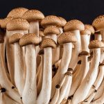 Καλλιέργεια μανιταριών στην Ελλάδα, μια αγορά σε άνοδο