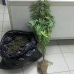 Συνελήφθη 64χρονος στην Πιερία για διακίνηση κάνναβης