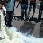 Μυτιλήνη: Κινητοποιήσεις αγροτών και κτηνοτρόφων προχθές στο πλαίσιο της πανελλαδικής απεργίας. Ποια είναι τα αιτήματα του κλάδου