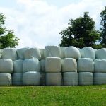 Φοιτητές θα δημοπρατούν τις ζωοτροφές