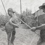 Καλαμοκαβαλάρηδες στην Αλεξάνδρεια και αλλού… – Γράφει ο Πέτρος Κεφαλάς