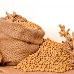 Γερμανία: Οι μεγαλύτερες εισαγωγές σόγιας από τις ΗΠΑ δεν θα βλάψουν τους αγρότες και τους κτηνοτρόφους στην ΕΕ, δαβεβαιώνει η γερμανίδα υπουργός Γεωργίας Γιούλια Κλέκνερ