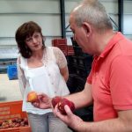 Ημαθία: Επίσκεψη Φρόσως Καρασαρλίδου σε συνεταιρισμούς