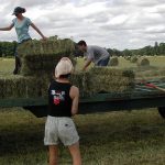 Ένταξη επιλαχόντων νέων γεωργών στις Περιφέρειες Ανατολικής Μακεδονίας & Θράκης, Θεσσαλίας και Κρήτης